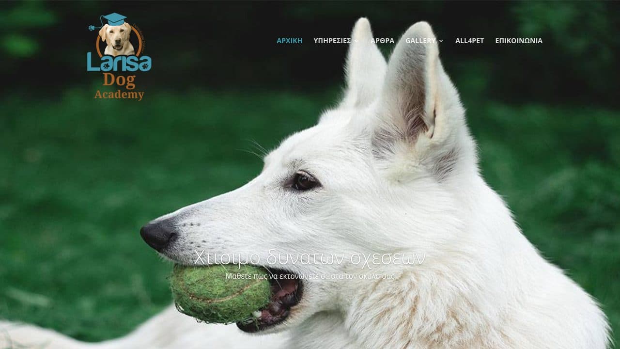 Larisa Dog Academy — website by Cybernetics Development